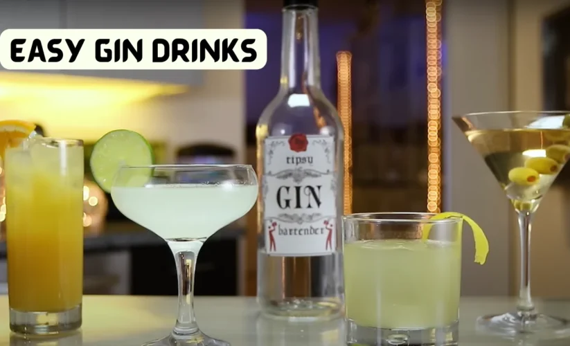 Easy Gin Drinks