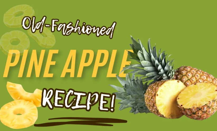 Fresh Pineapple Juice Recipe